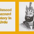 Mehmood Ghaznavi History in Urdu | First Sultan in History